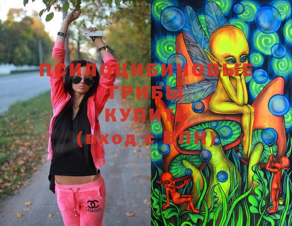 крисы Верея