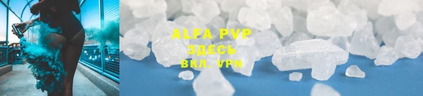 прущие крисы Бородино