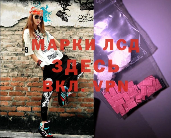 прущие крисы Бородино