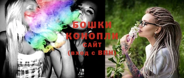 дурь Бронницы