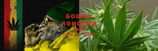 дурь Бронницы