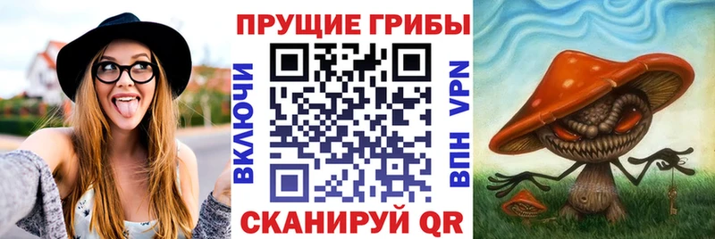 Псилоцибиновые грибы Psilocybine cubensis  наркошоп  это телеграм  Вилюйск 